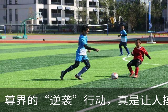 尊界的“逆袭”行动，真是让人摸不着头脑！